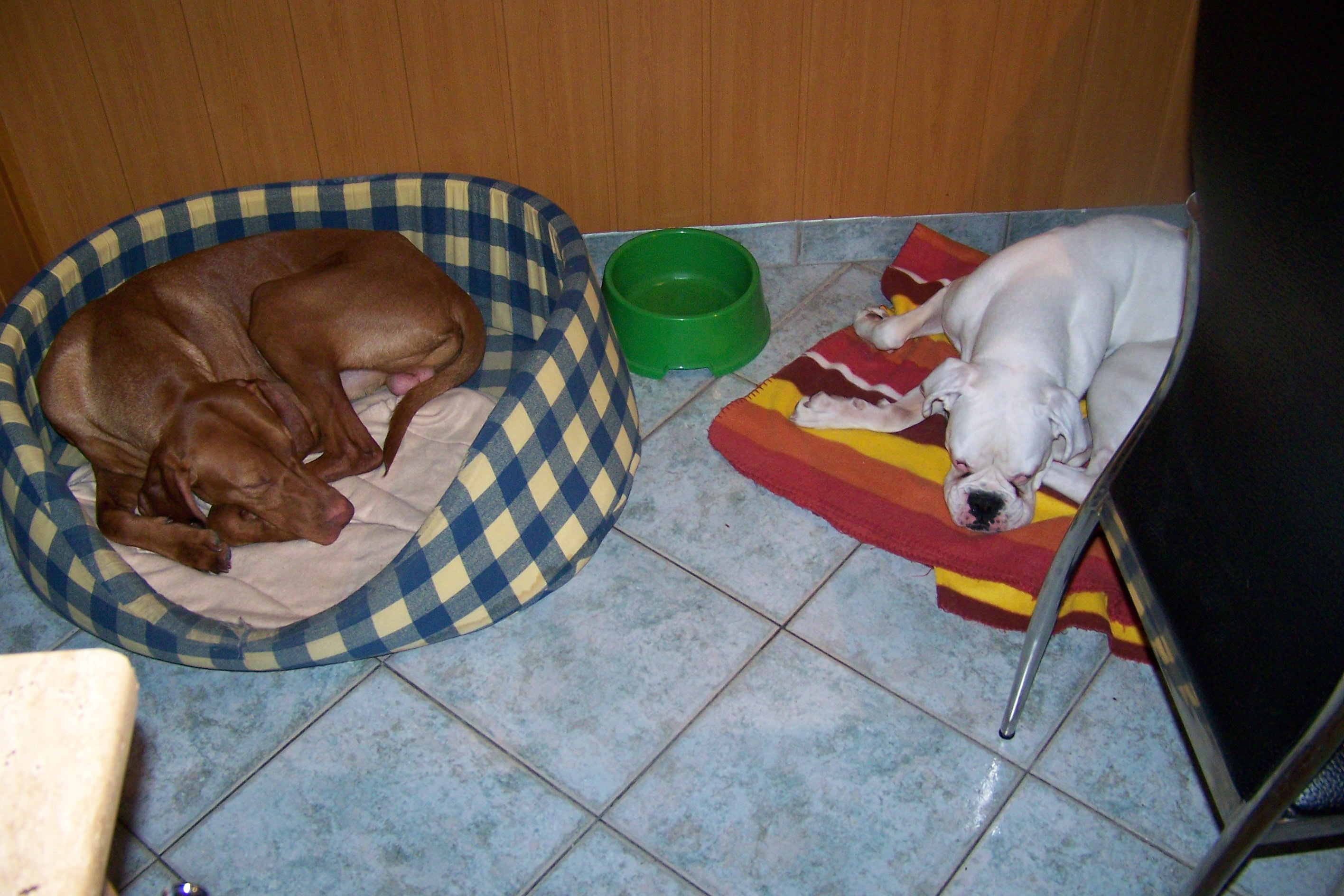 100_1237.jpg